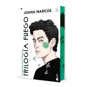 Ciudades De Cenizas. Edicion Especial Con Cantos Decorados