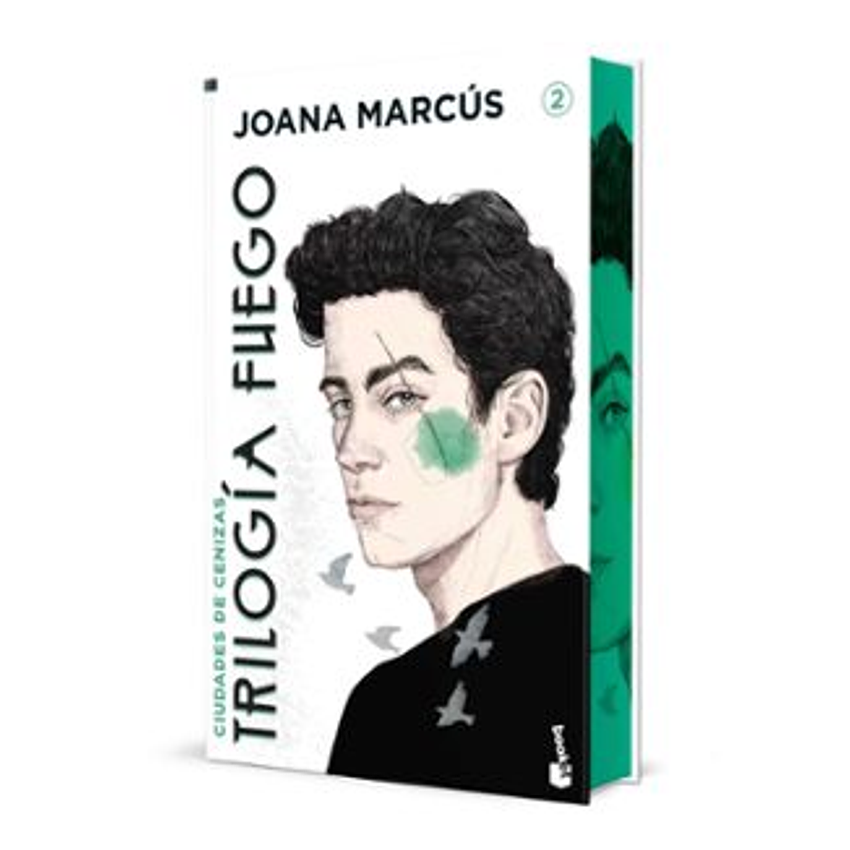 Ciudades De Cenizas. Edicion Especial Con Cantos Decorados 1