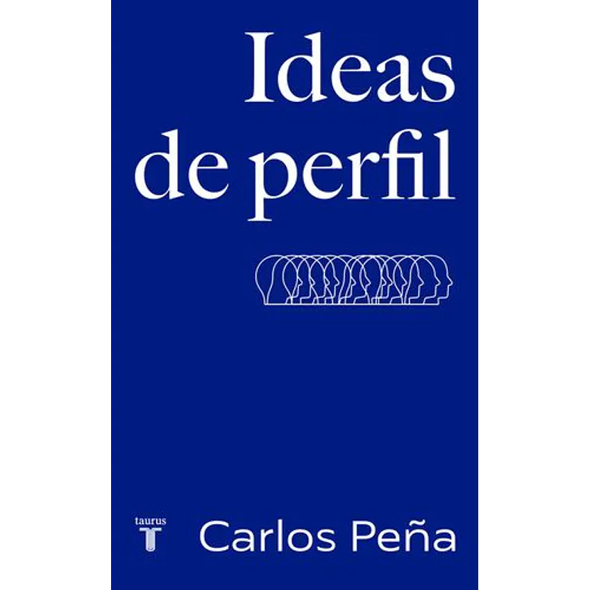 Ideas De Perfil 1