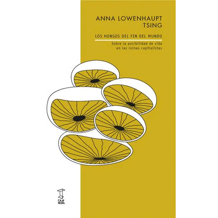 Los Hongos Del Fin Del Mundo 1
