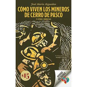 Como Viven Los Mineros De Cerro De Pasco