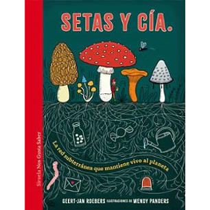 Setas Y Cia