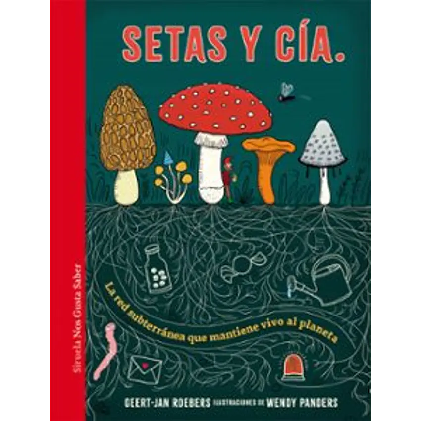Setas Y Cia 1