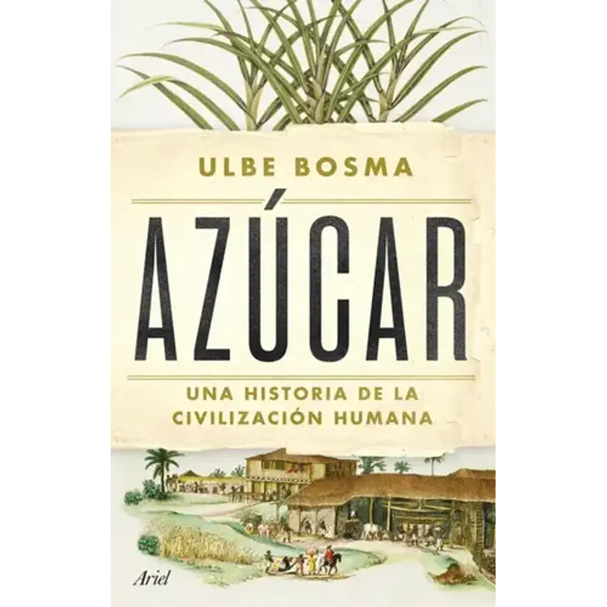 Azucar 1