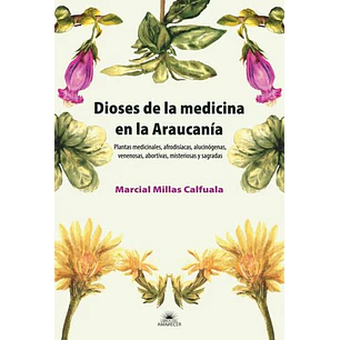 Dioses De La Medicina En La Araucania
