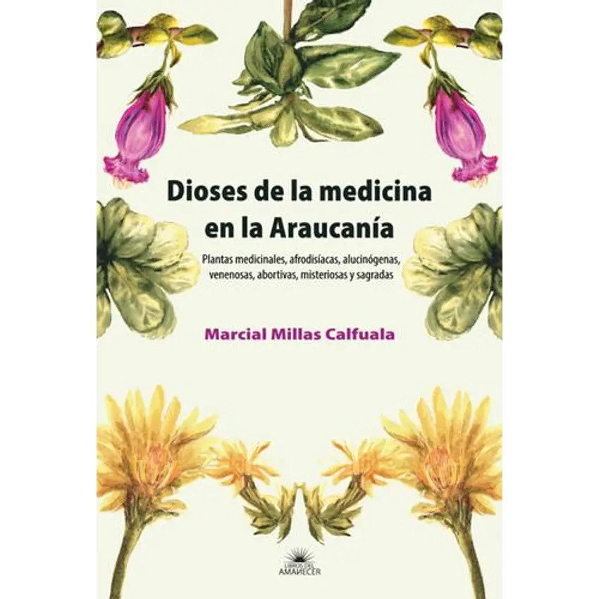 Dioses De La Medicina En La Araucania 1