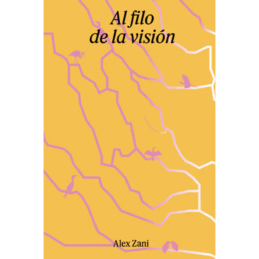 Al Filo De La Vision 1