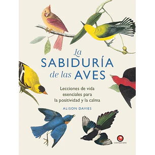La Sabiduría De Las Aves