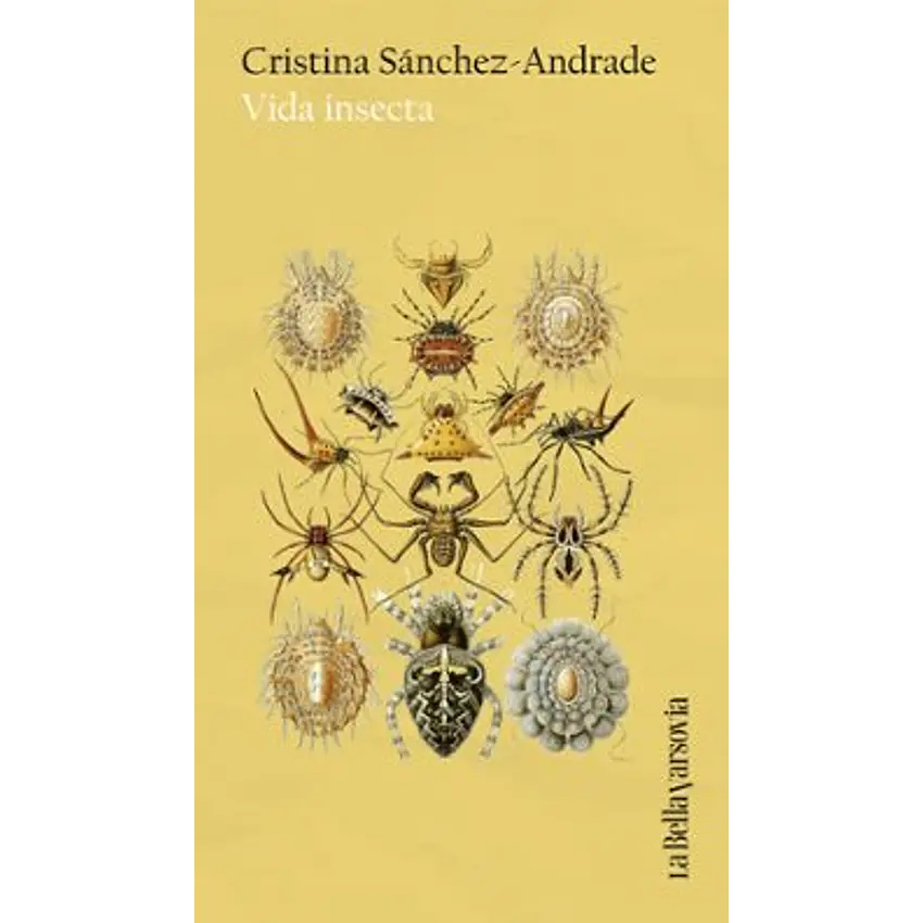 Vida Insecta 1