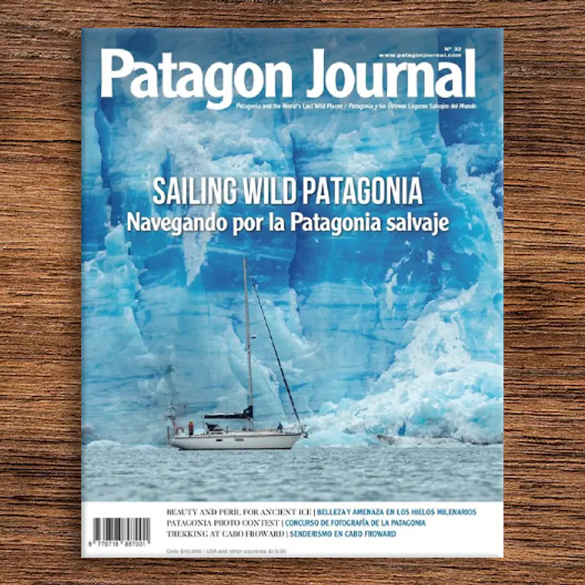 Patagon Journal N°32 1