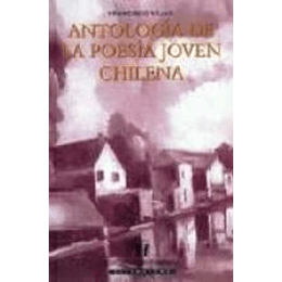 Antologia De La Poesia Joven Chilena