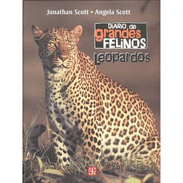 Diario De Grandes Felinos: Leopardos