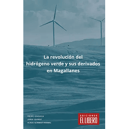 La Revolucion Del Hidrogeno Verde Y Sus Derivados En Magallanes