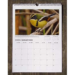 Calendario Chile 2024 Aves De Chile