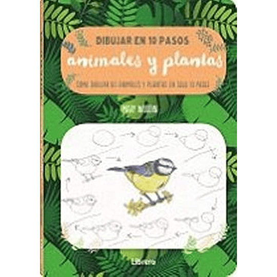 Dibujar Animales Y Plantas En 10 Pasos
