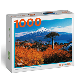 Puzzle 1000 Piezas Parque Nacional Conguillio