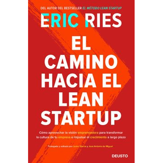 El Camino Hacia El Lean Startup