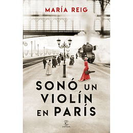 Sono Un Violin En Paris