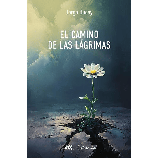 El Camino De Las Lagrimas