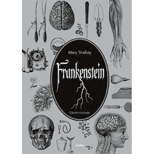Frankenstein (Edicion Ilustrada Coleccion)