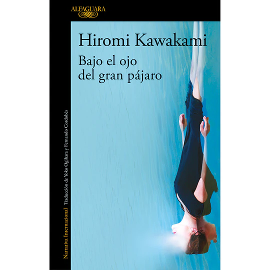 Bajo El Ojo Del Gran Pajaro 