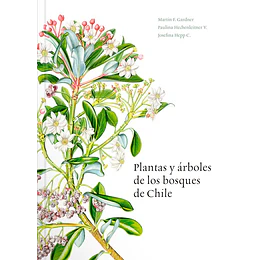 Plantas Y Arboles De Los Bosques De Chile