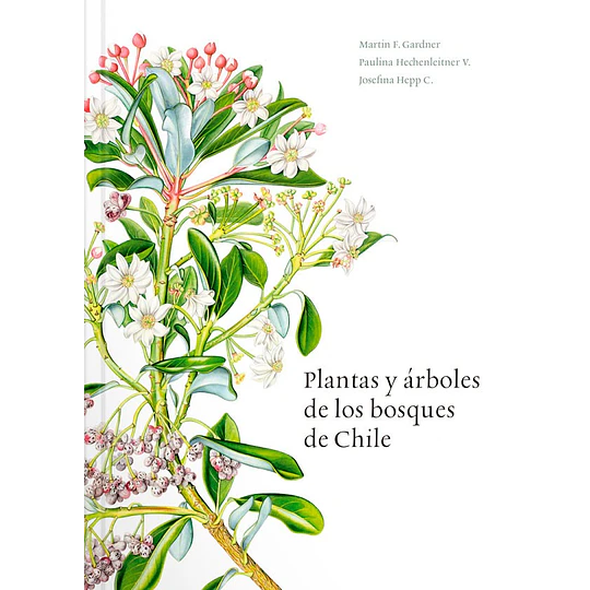 Plantas Y Arboles De Los Bosques De Chile