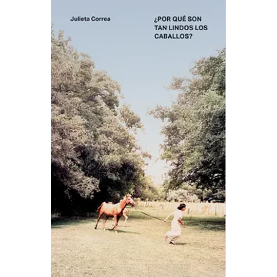 Por Que Son Tan Lindos Los Caballos