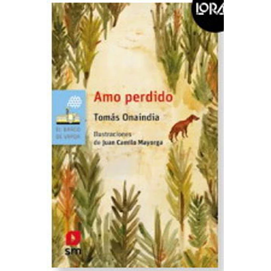 Amo Perdido (Celeste)