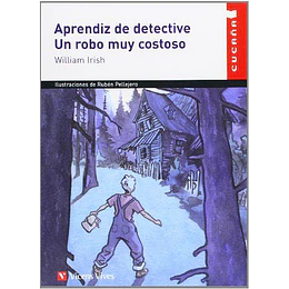 Aprendiz De Detective Un Robo Muy Costoso