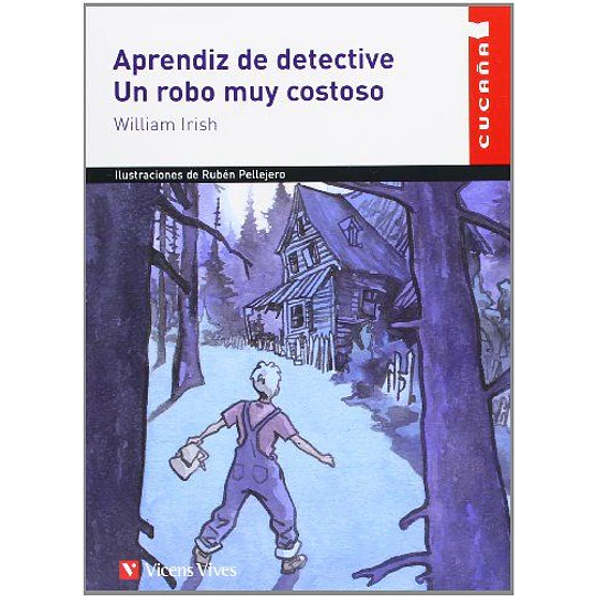 Aprendiz De Detective Un Robo Muy Costoso