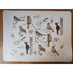 Individual rectangular Ilustrado Aves Nativas 