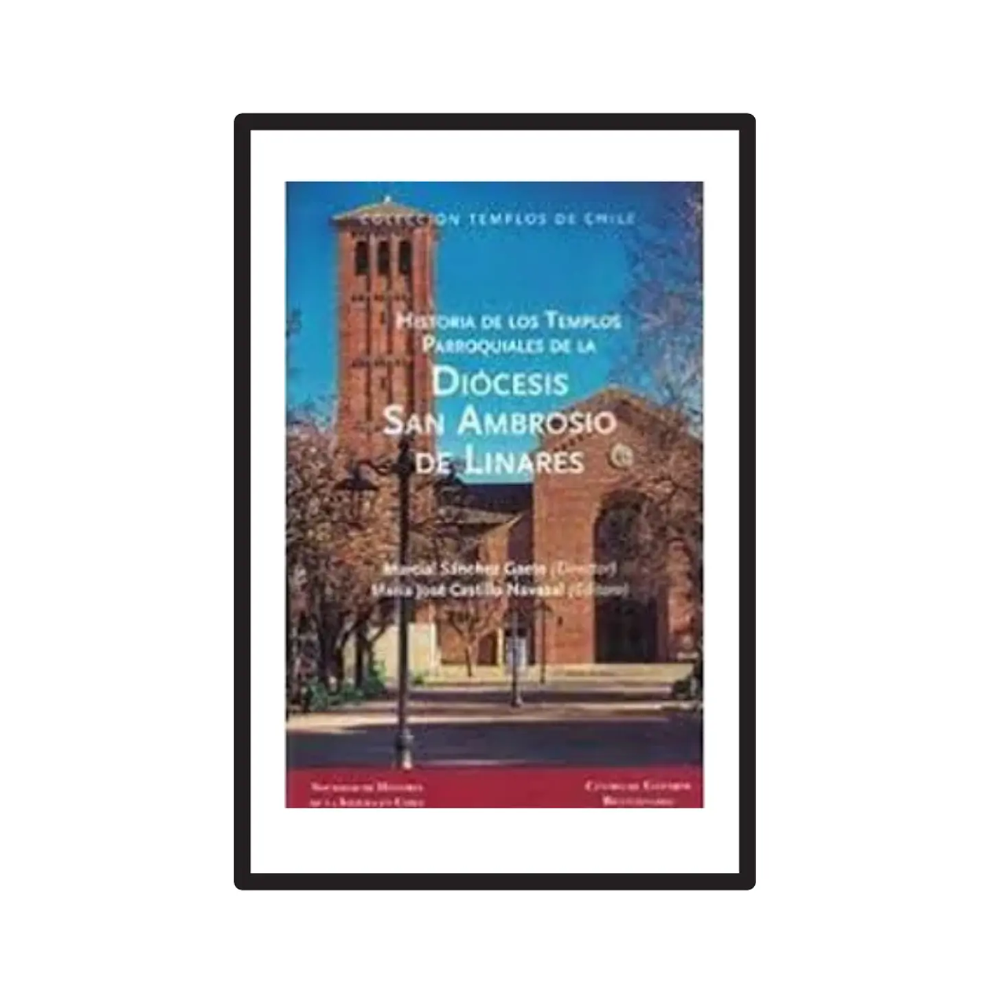 DIÓCESIS SAN AMBROSIO DE LINARES 1