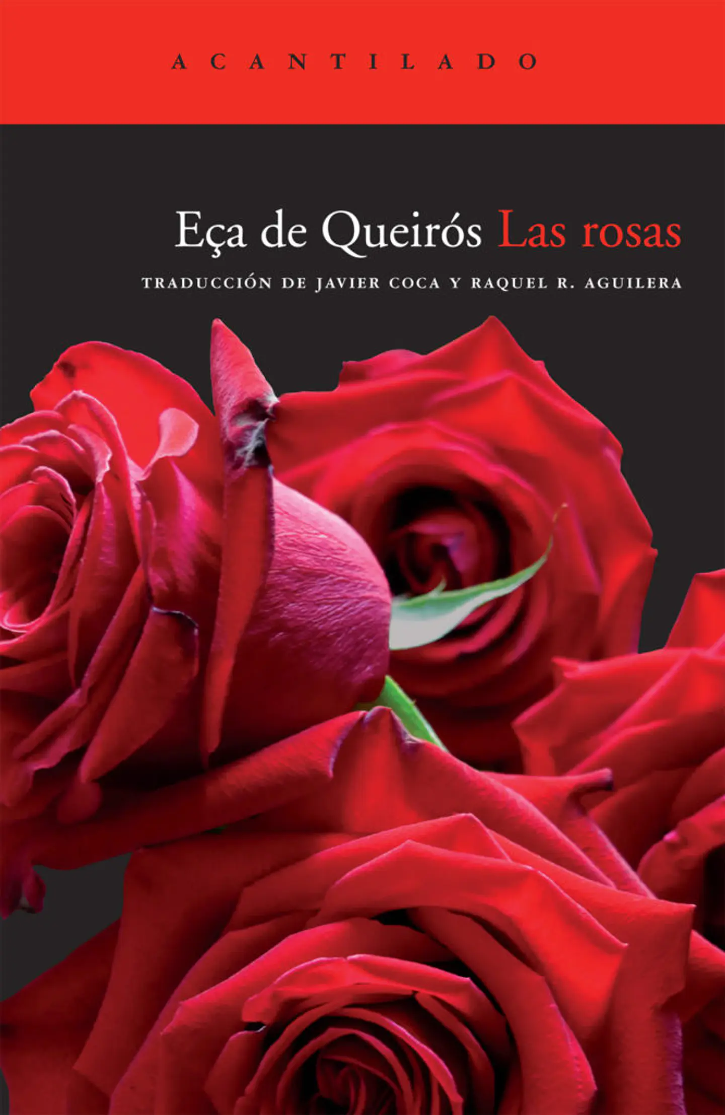 LAS ROSAS 1