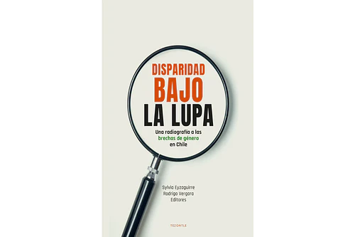 DISPARIDAD BAJO LA LUPA