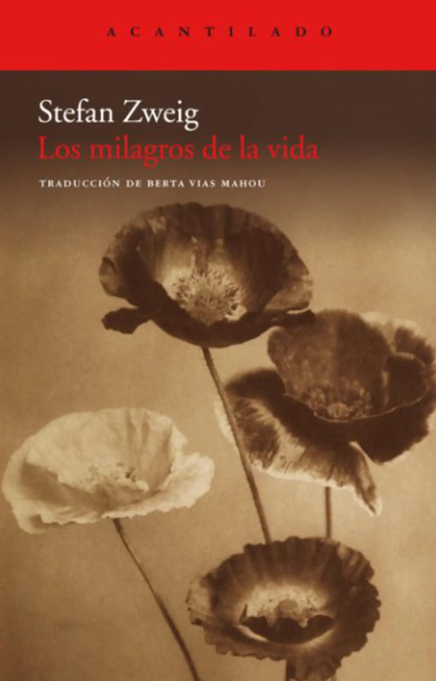 LOS MILAGROS DE LA VIDA 1