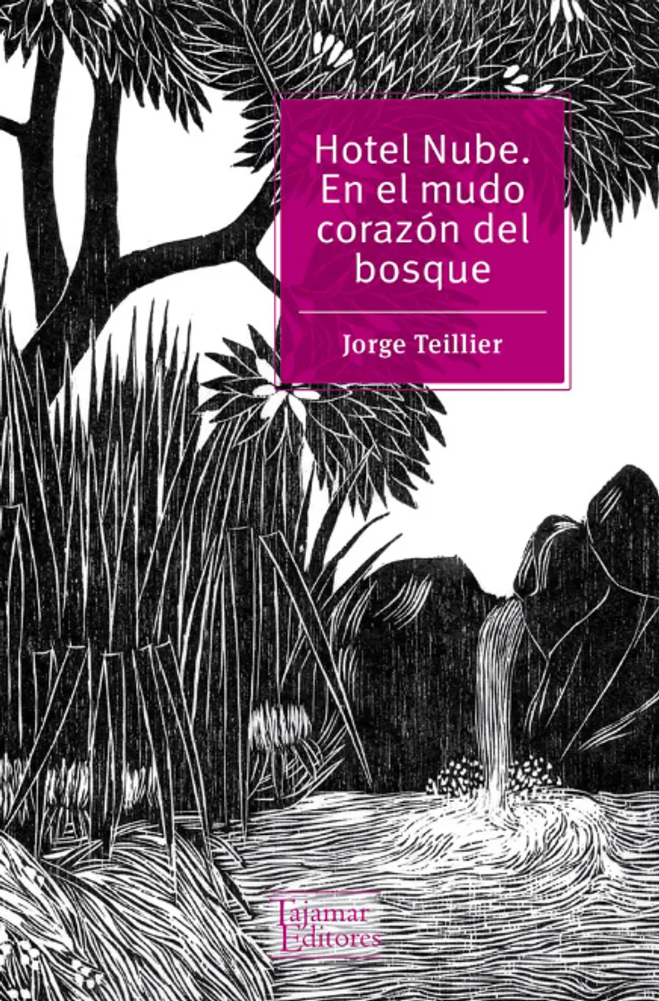 HOTEL NUBE. EN EL MUDO CORAZÓN DEL BOSQUE 1