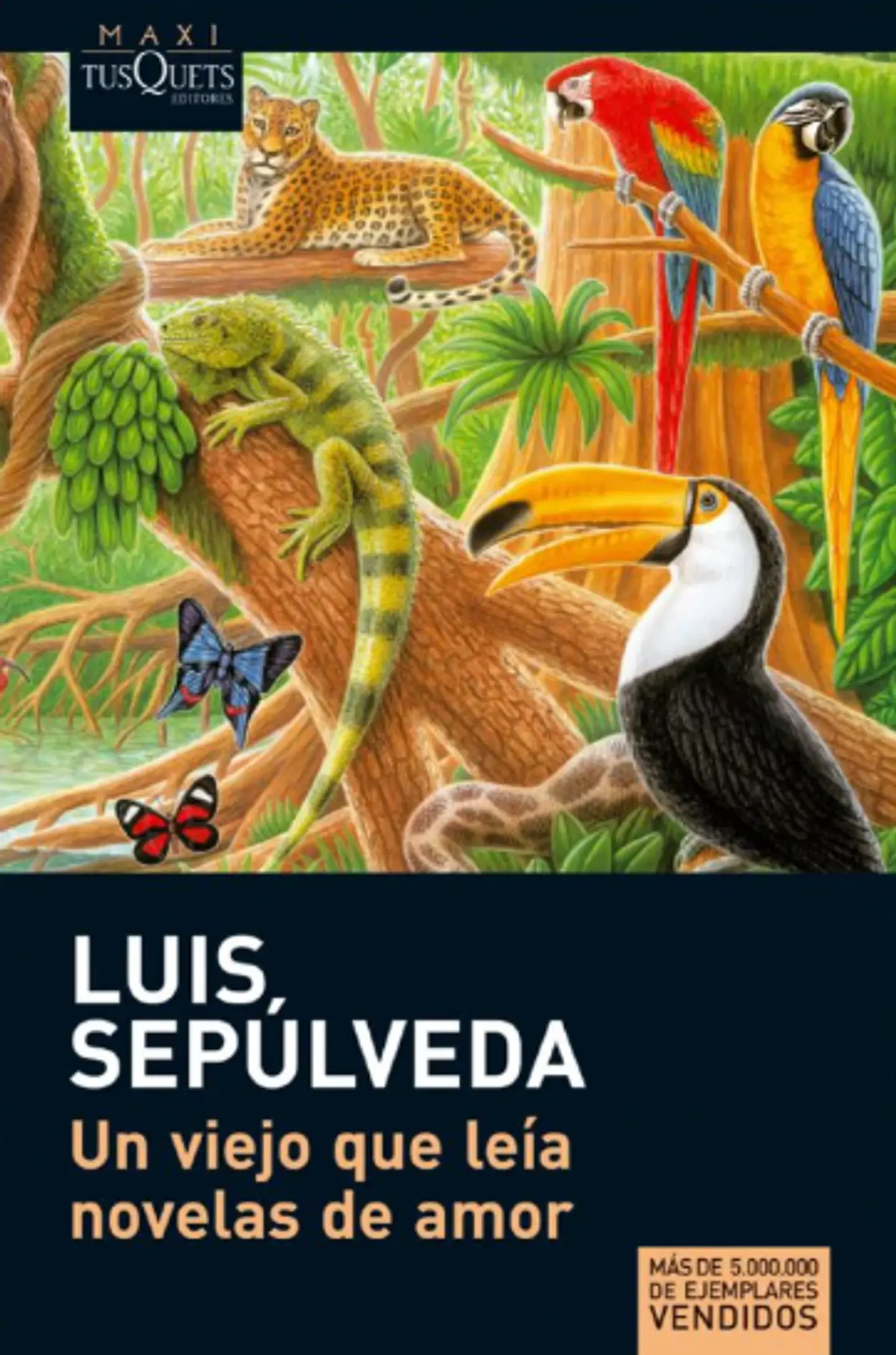 UN VIEJO QUE LEÍA NOVELAS DE AMOR 1