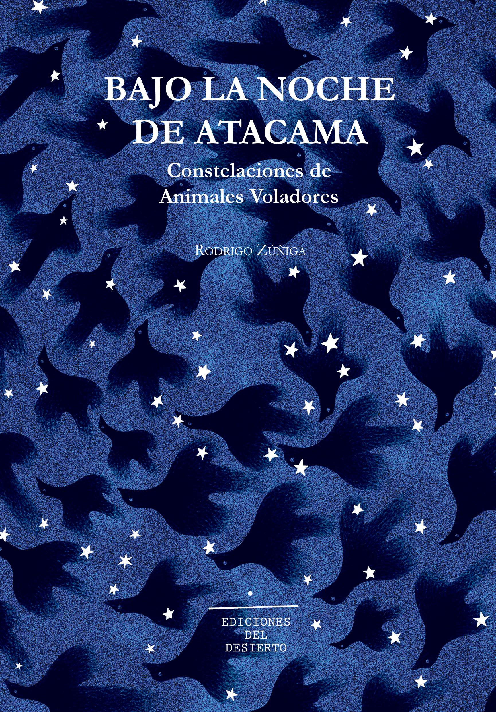 Bajo la noche de Atacama