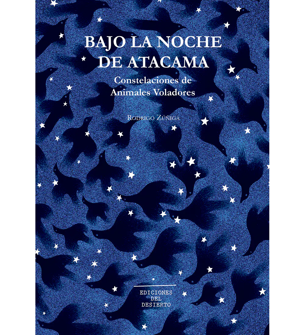 Pack Bajo la noche de atacama