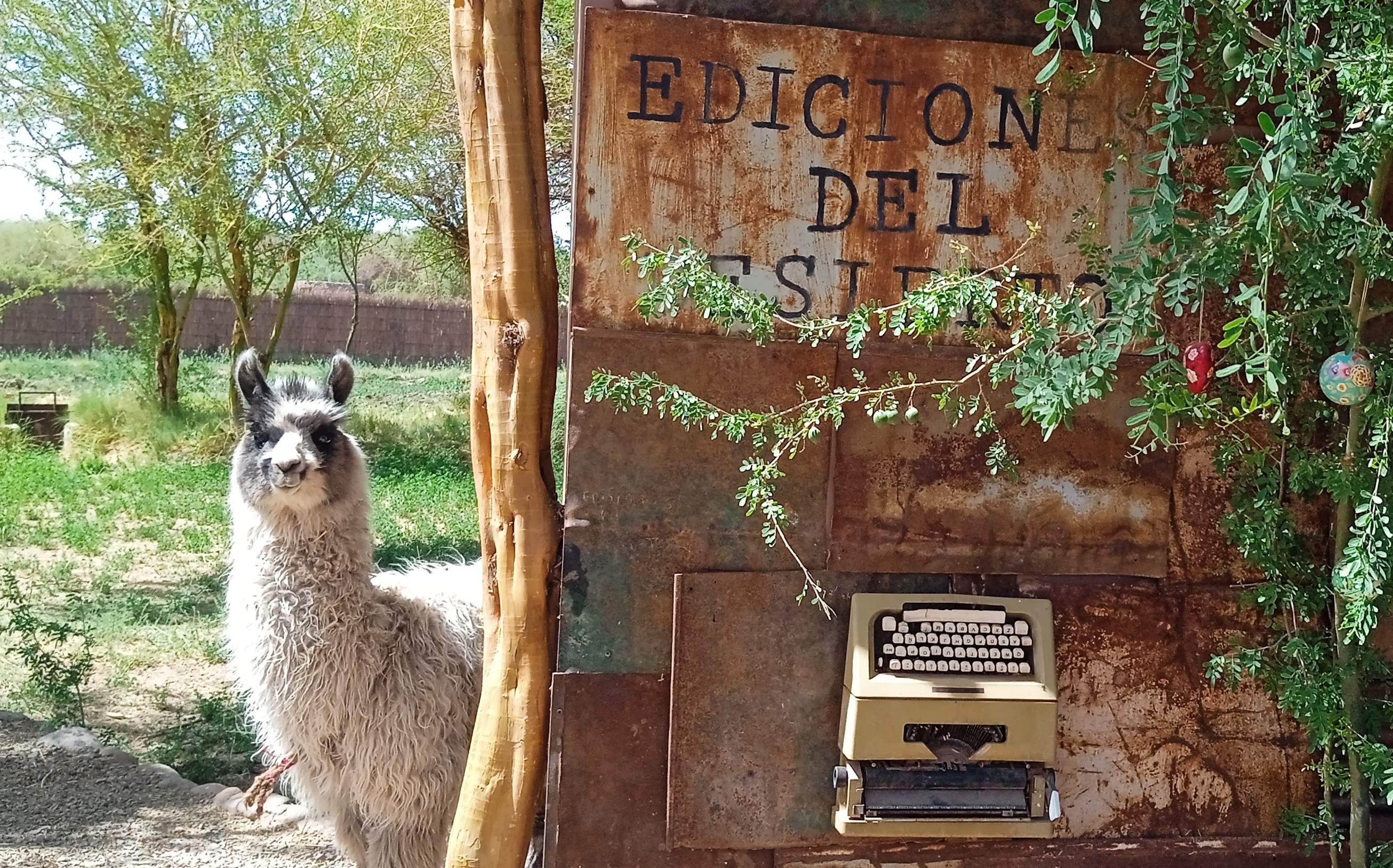 Librería del Desierto