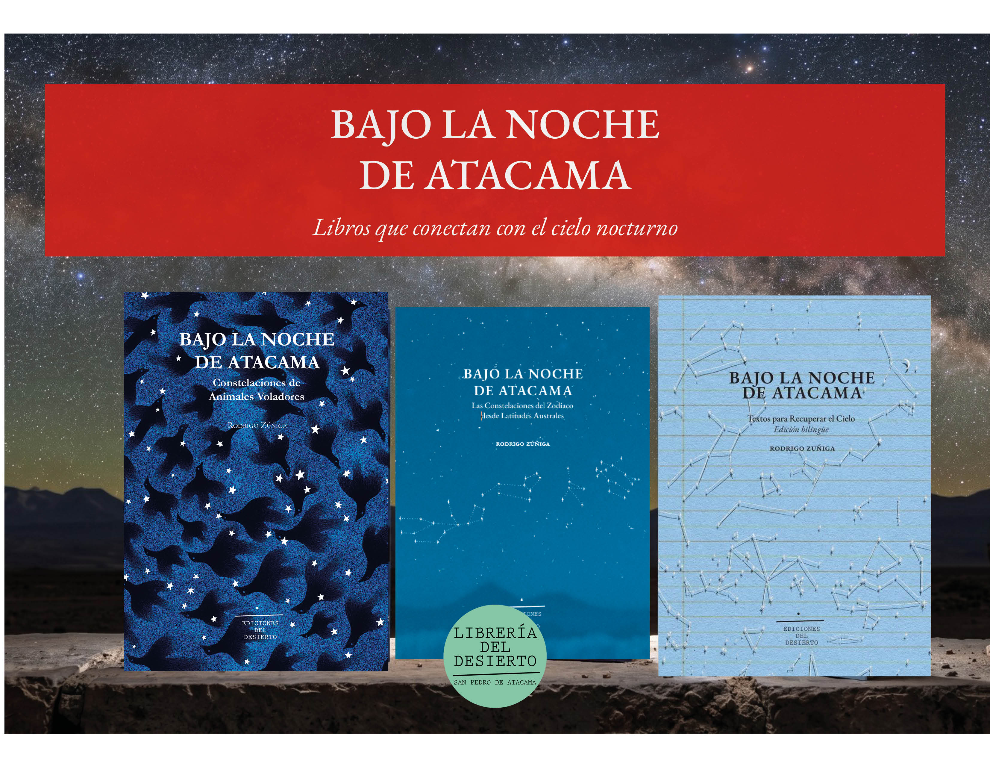 Pack Bajo la noche de atacama