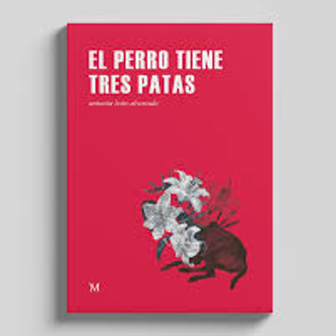 El Perro Tiene Tres Patas 1