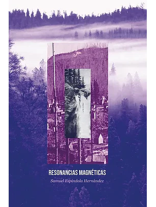 Resonancias Magneticas