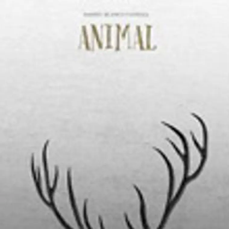 Animal  1