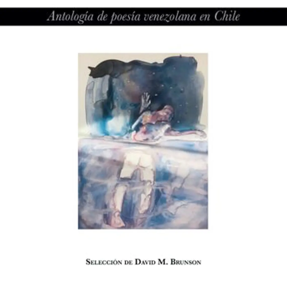 Una Cicatriz Donde Se Escriben Despedidas Antologia De Poesia Venezolana En Chile 1