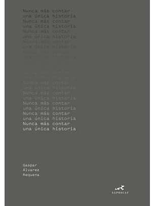 Nunca Mas Contar Una Unica Historia