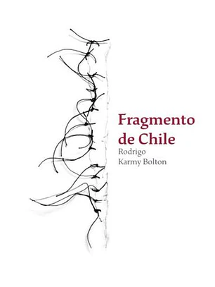 Fragmento De Chile