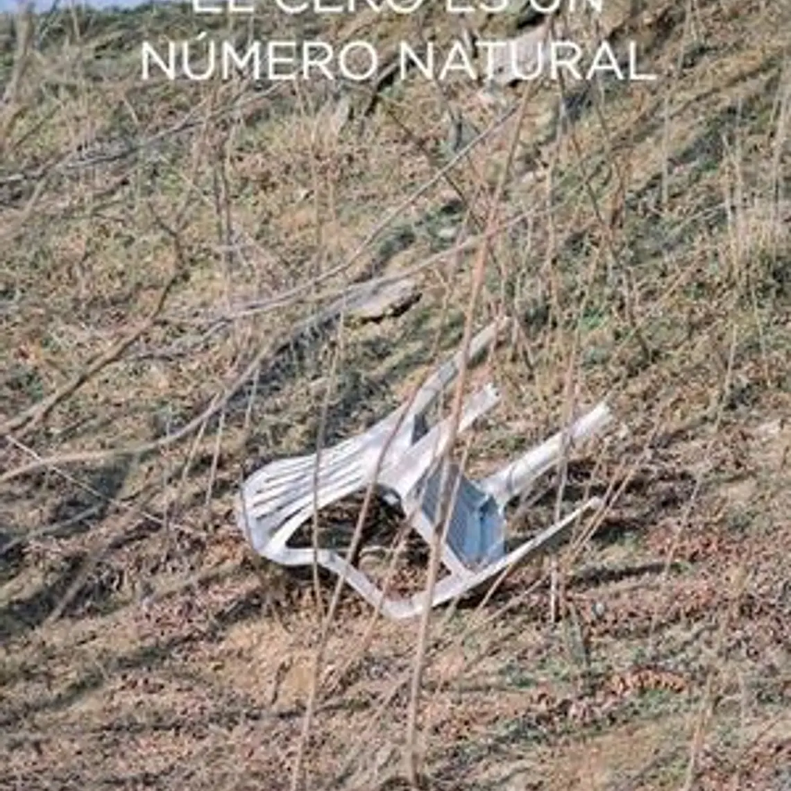 Cero Es Un Numero Natural, El 1