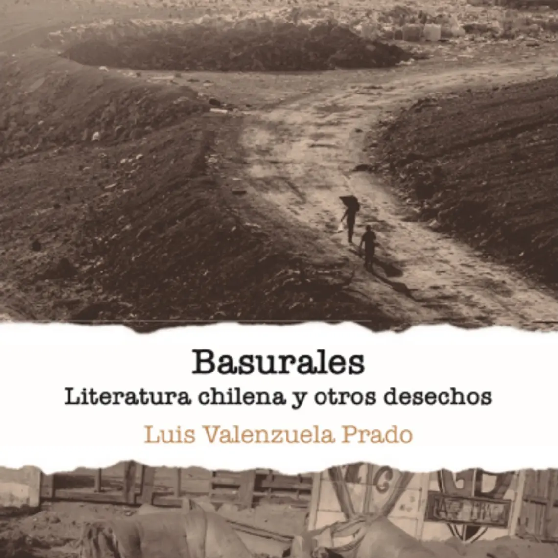 Basurales Literatura Chilena Y Otros Desechos 1
